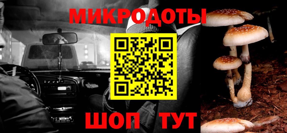 Галлюциногенные грибы GOLDEN TEACHER  Псилоцибиновые грибы GOLDEN TEACHER  Пятигорск  Вход с VPN 