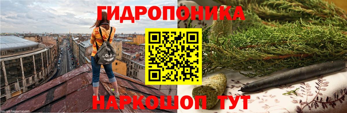 Бошки марихуана планчик  Вход с VPN  Бошки марихуана гибрид  Бошки Шишки AK-47  Пятигорск 